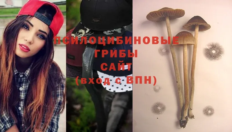 Псилоцибиновые грибы Magic Shrooms  купить закладку  Мегион 